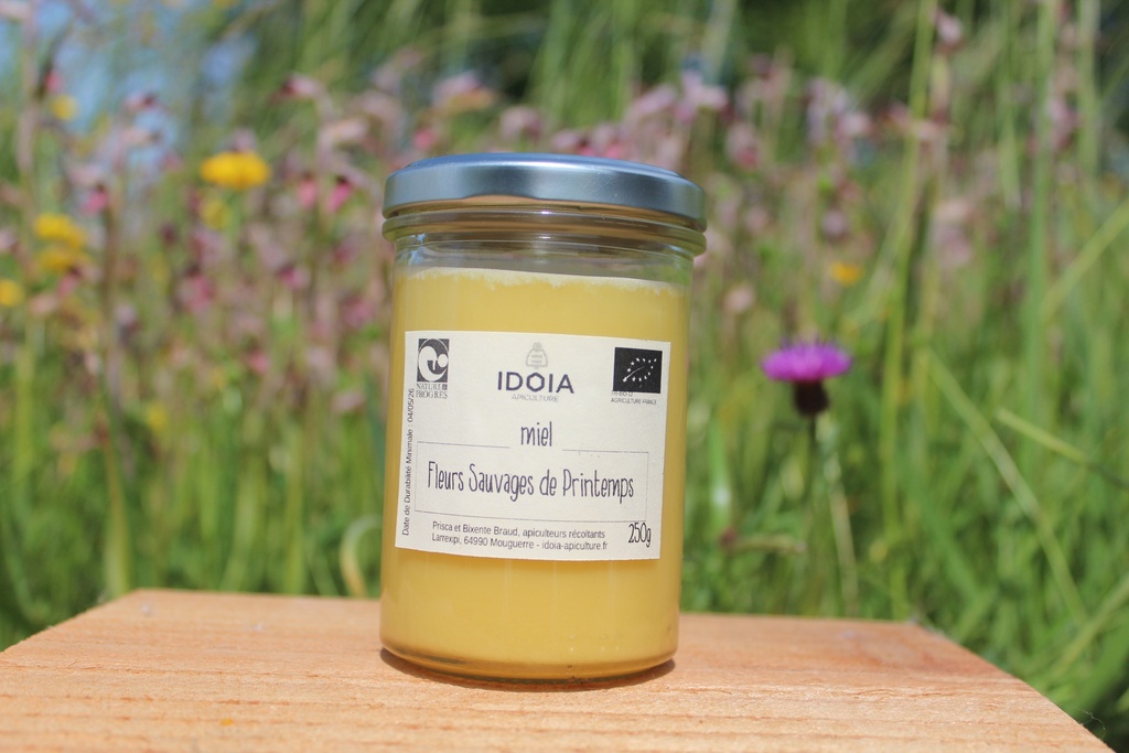 Miel de Fleurs Sauvages de Printemps