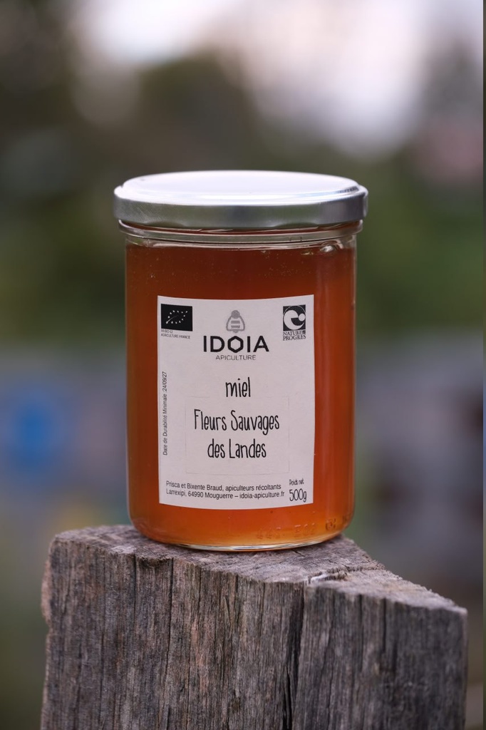 Miel de Fleurs Sauvages des Landes (Pot de 250g)
