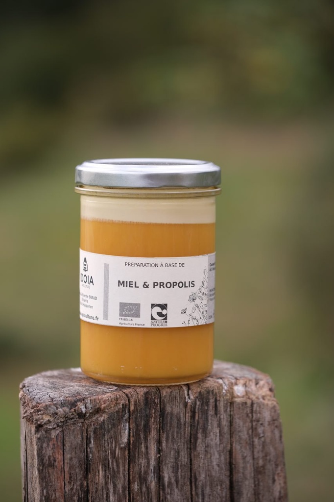 Miel - Propolis